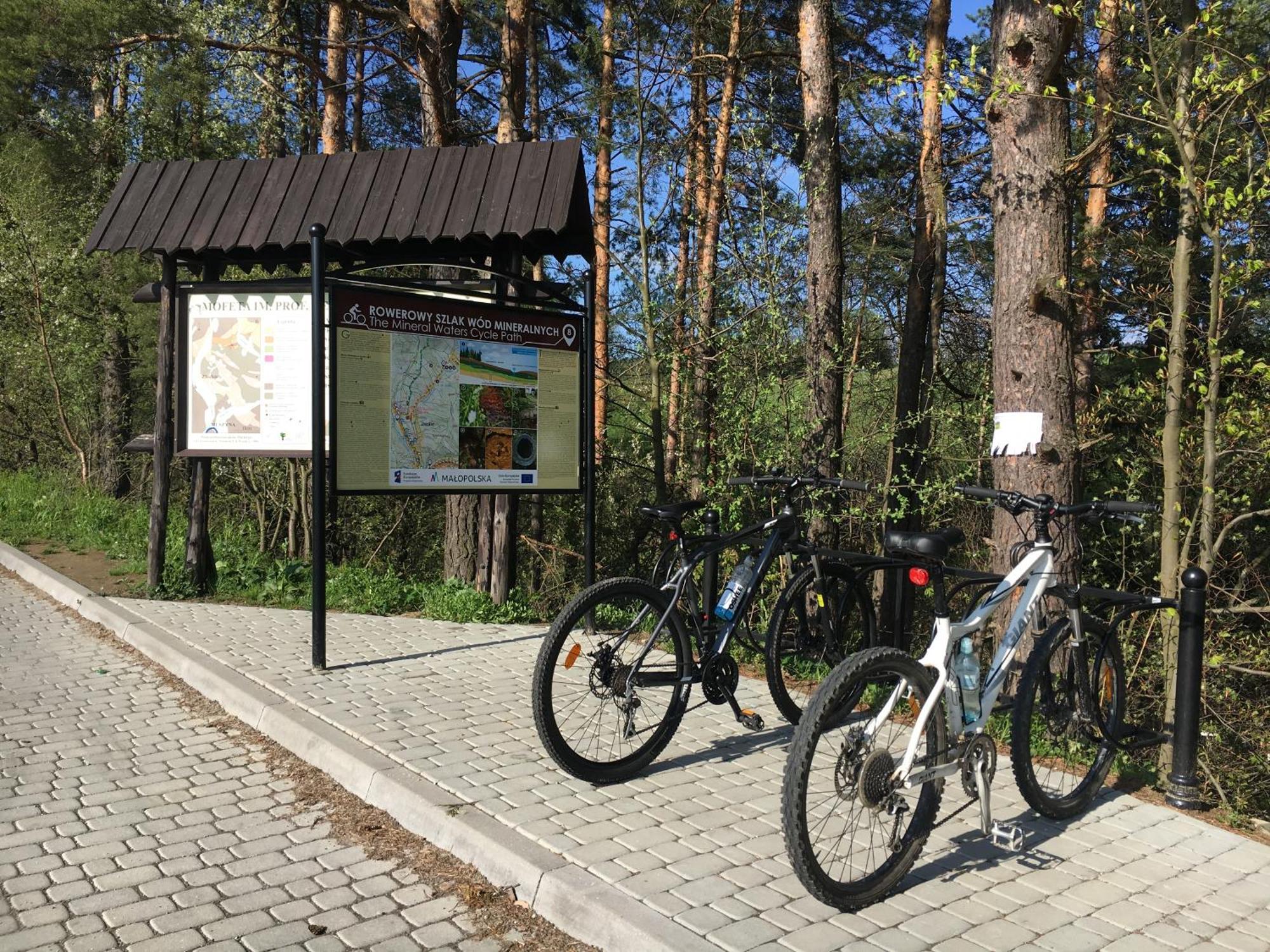 Blachutowka Villa Krynica-Zdrój Exterior foto